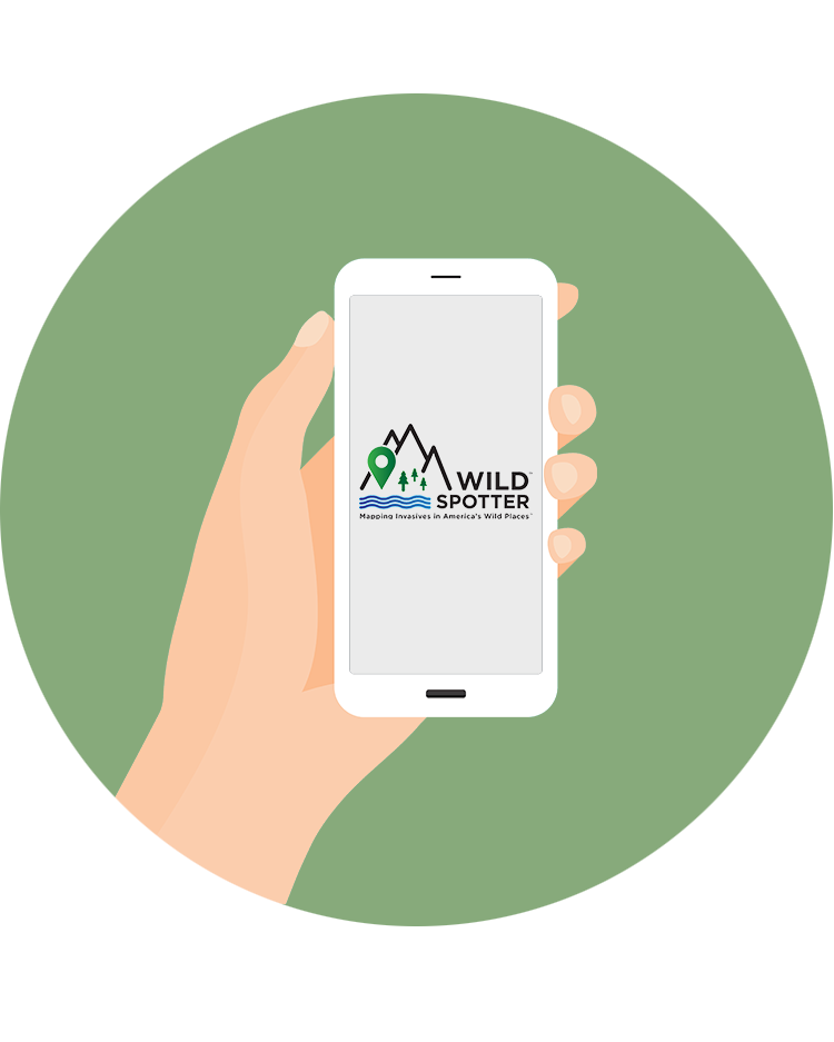 Download the app