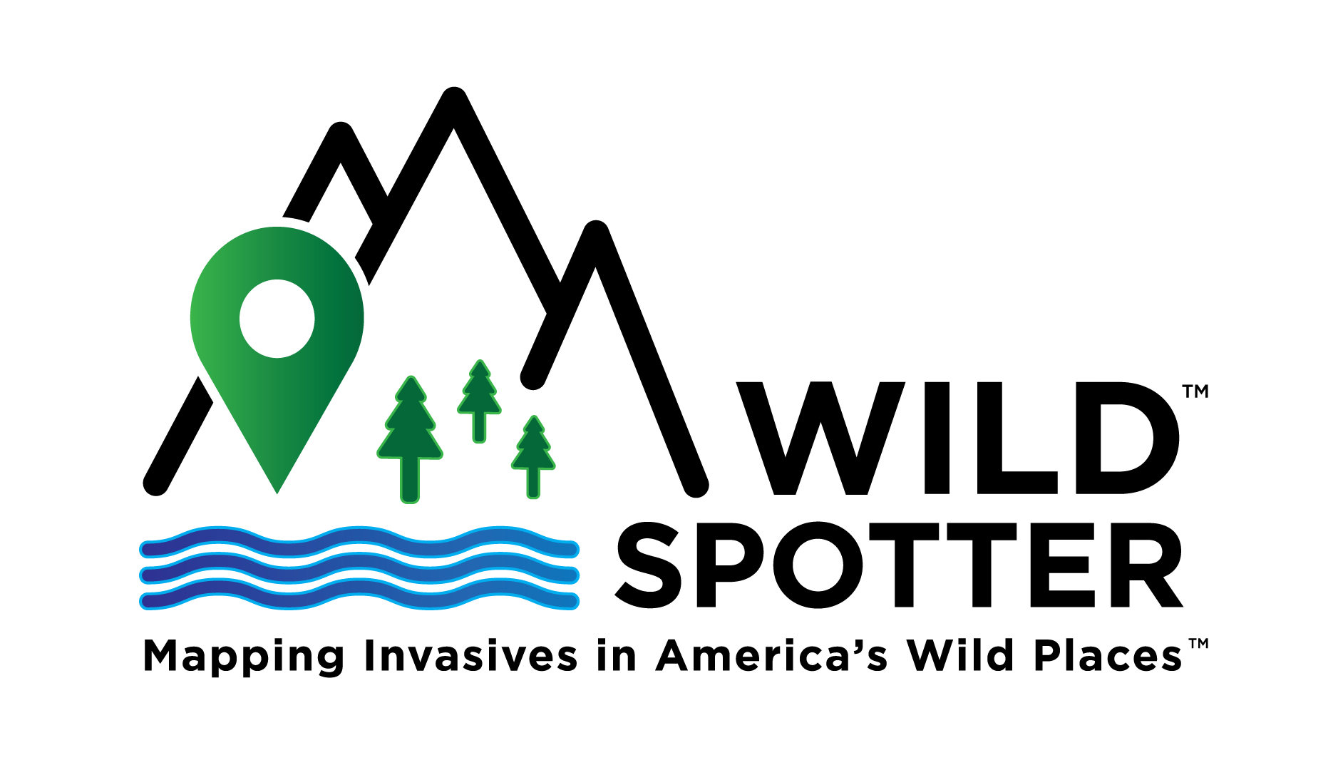 Wild Spotter Logo