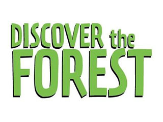 Discover the forest logo