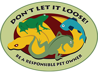 Don't it loose logo
